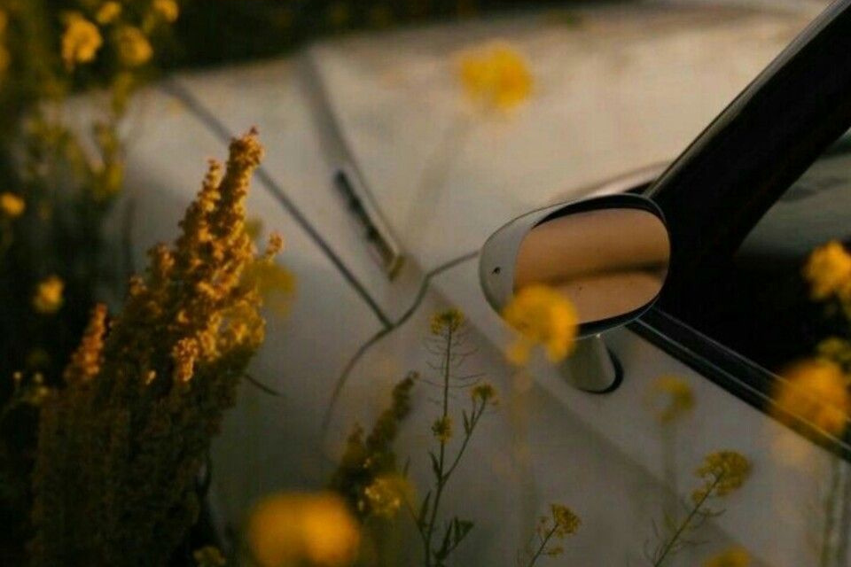 Raury God’s Whisper, American Honey, Andrea Arnold, 2016, El tornillo de Klaus ,Revista de cine, American Honey film, American honey pelicula,,